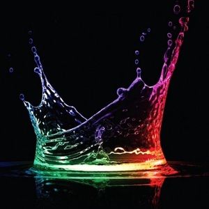 Meet your Posher, Abbie